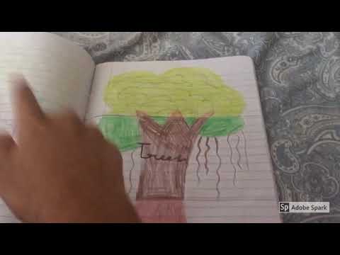 About NATURE by Sarayu// 1- Flowers, 2- Trees