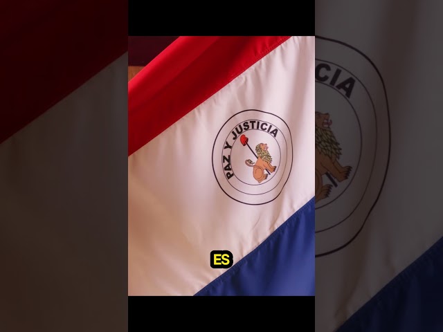 Vídeo relacionado con AZ FLAG Bandera de Mesa Paraguay 15x10 cm Poliéster 100D Base Plástico