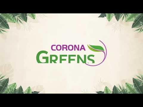 3D Tour Of Corona Greens