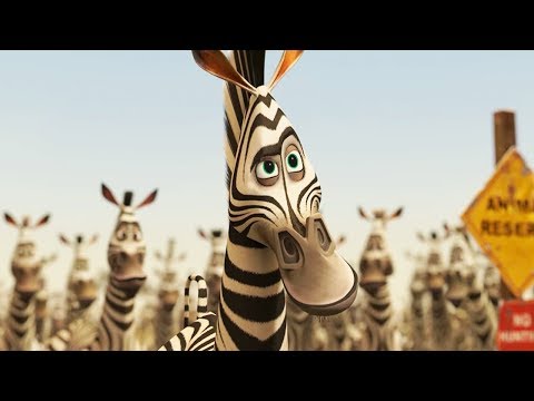 DreamWorks Madagascar en Español Latino | Alex y Marty Clip - Madagascar 2 | Dibujos Animados