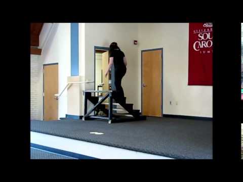 Shakespeare in Performance - Dr. Bucker