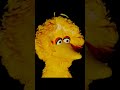 ChIcKeN BUtT Elmo Bigbird