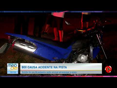 Boi causa acidente em Brazópolis