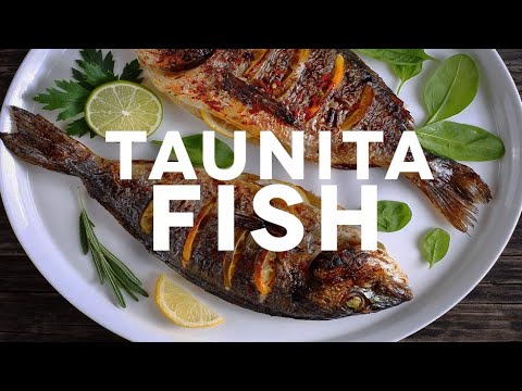 Taunita Fish Finaal
