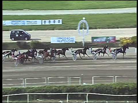 Trotto 19/04/2015 - 5° corsa