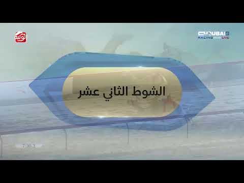 ملخص السباق ، تأهيلي المرموم 2026/03/04 لقايا