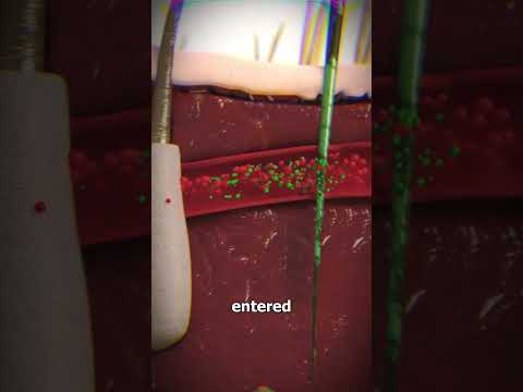 How Hunters Used Poison Dart Frogs 😲