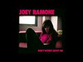 What A Wonderful World - Joey Ramone