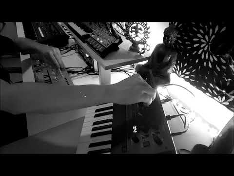 ૐGoaNojaૐ Melodic Acid Goa Trance Jam#2