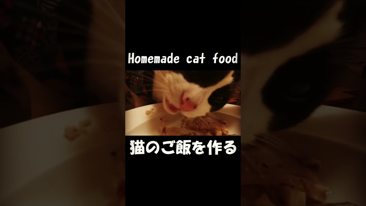 手作り猫ごはん（Home made cat food)