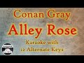 Conan Gray - Alley Rose Karaoke Instrumental Lower Higher Female & Original Key