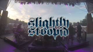 Officer - Slightly Stoopid (Live at the Simsbury Meadows)