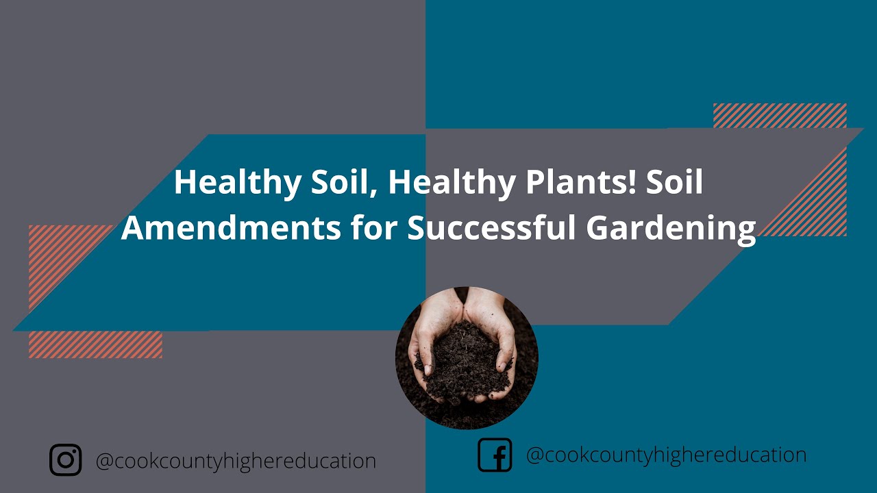 Healthy Soil, Healthy Plants! Soil Amendments for Successful Gardening