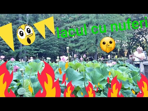 prima zi in oradea la baile felix !Frumos sau nu?🙀🥶