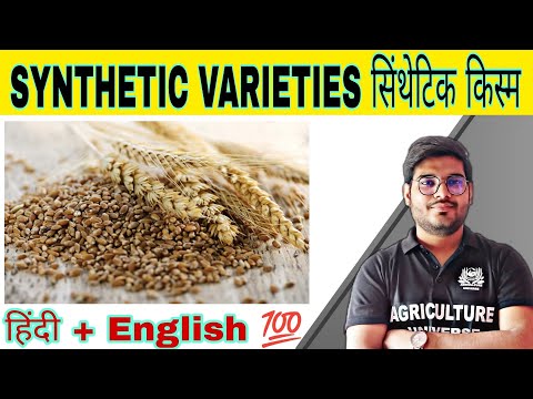 defination allopolyploid allopolyploid kya hai allopolyploid in hindi what is allopolyploid