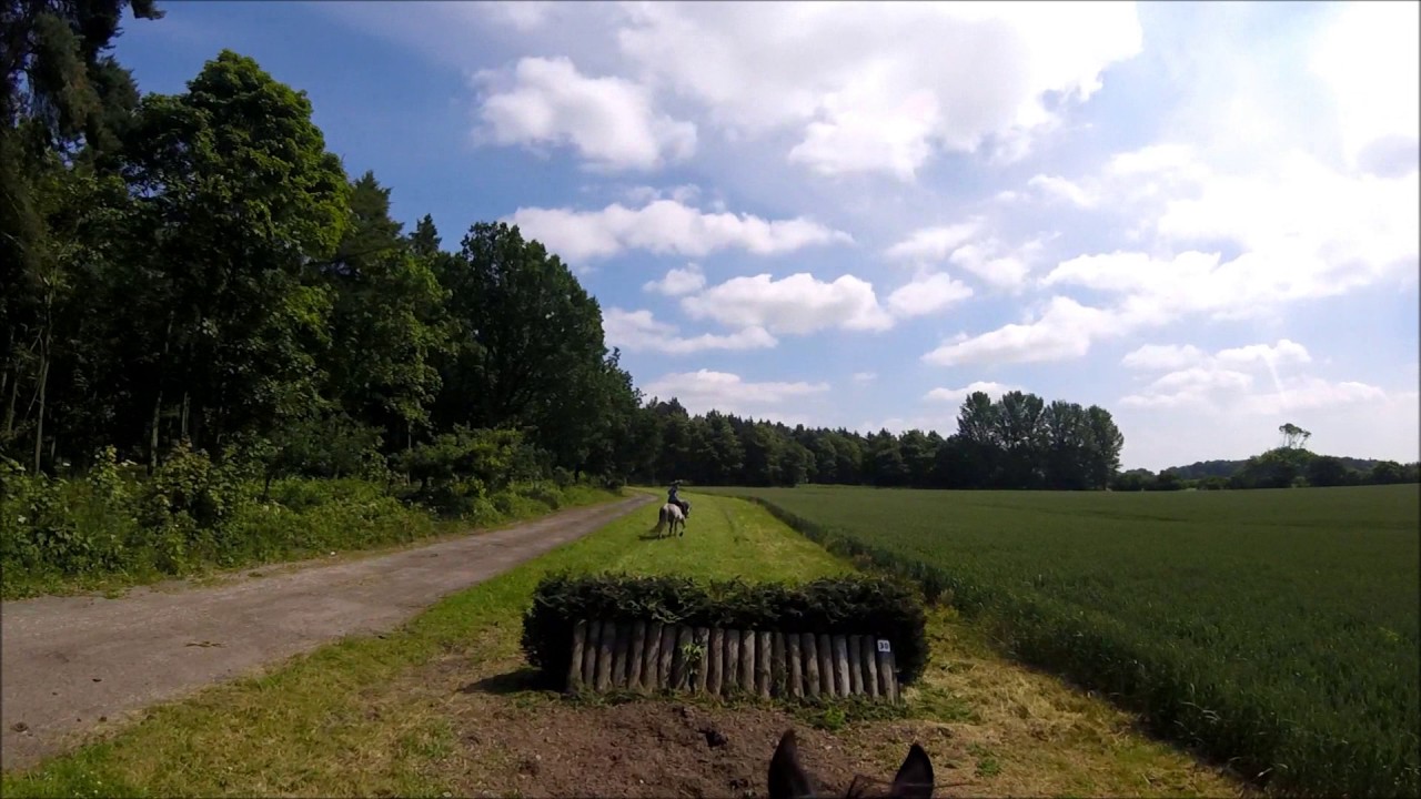 Escrick Park June 2017 (HPEC / HPS Ride) Rav and Flute