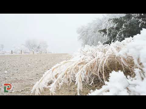 Lake Hefner Rime Icing - Oklahoma City, Oklahoma  | February 10, 2021 #limitlessproduction #weather