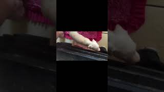 Felicia e Maggie - 16.10.2017