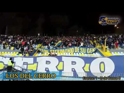 "Los del Cerro" Barra: Los del Cerro • Club: Everton de Viña del Mar