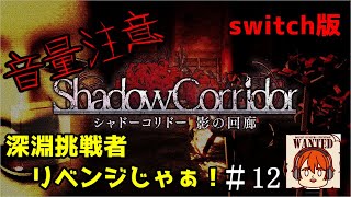 【ライブ配信】※絶叫注意※　深淵挑戦者リベンジじゃいっ！【switch版　シャドーコリドー　影の回廊】