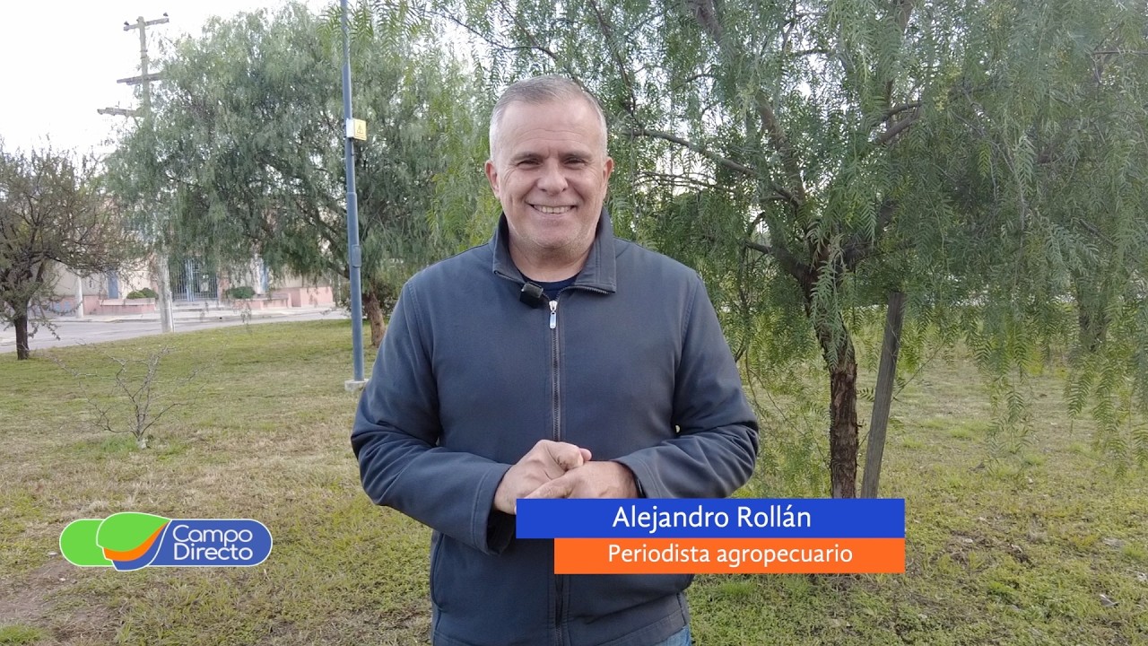 Campo Directo | Los cortes vacunos que más subieron en Córdoba