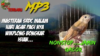 Download lagu MASTERAN SRDC MALAM HARI FULL DURASI ISIAN KASAR ,PLUS SUARA AIR UNTUK TERAPI ,, JAMIN JOS GANDOS mp3