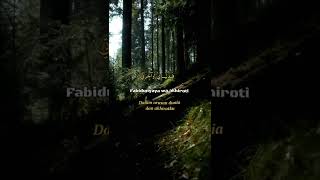 Download lagu Ya imamarrusli ya sanadi #sholawat #sholawatviraltiktok #sholawat merdu mp3