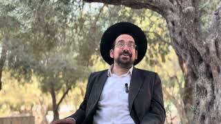 בין הגלים נאחזים בדפי הגאולה | הרב אליהו ובר (ישיבת הר הבית) - התמונה מוצגת ישירות מתוך אתר האינטרנט יוטיוב. זכויות היוצרים בתמונה שייכות ליוצרה. קישור קרדיט למקור התוכן נמצא בתוך דף הסרטון בין הגלים נאחזים בדפי הגאולה | הרב אליהו ובר (ישיבת הר הבית) - התמונה מוצגת ישירות מתוך אתר האינטרנט יוטיוב. זכויות היוצרים בתמונה שייכות ליוצרה. קישור קרדיט למקור התוכן נמצא בתוך דף הסרטון