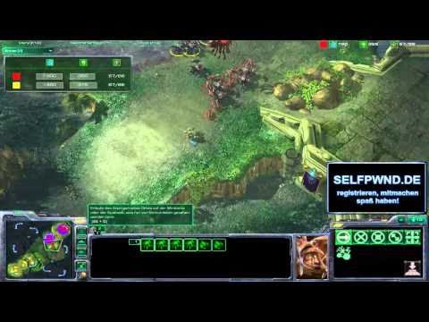 Selfpwnd SCII Cup Finale Tarry (t) vs Rankath (z)