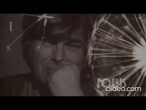 Nichita Stănescu -  Cântec de dor