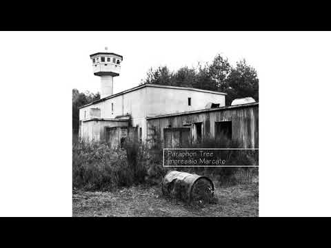 Paraphon Tree - Impressio Marcato [Full Album]