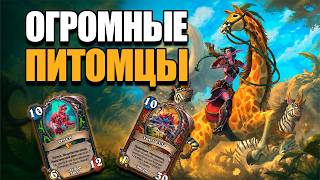 ОХОТНИК НА ПИТОМЦАХ - НОВАЯ ИМБА? ДЕКА С КЛАССОВЫМИ КАРТАМИ ОХОТНИКА | COMPANION HUNTER