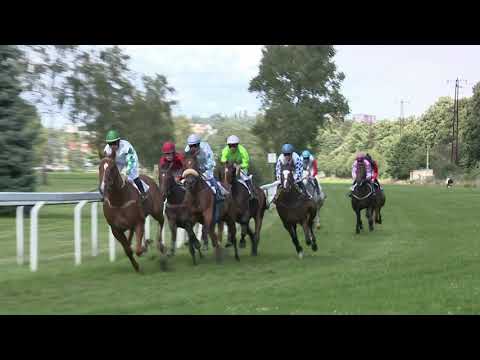 5. dostih - Cena DZS Struhařov - Memoriál Miroslava Kocourka - dostihy Karlovy Vary 8. 8. 2021