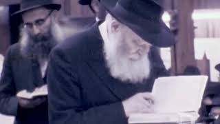 Tishrei with the Rebbe 5740 | Highlights