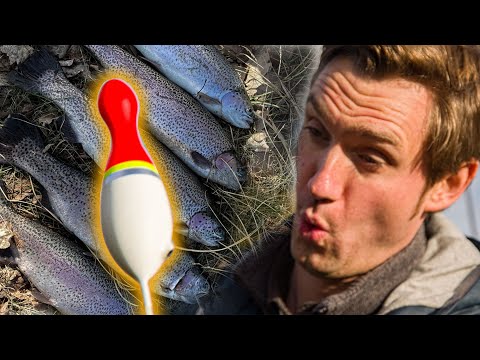 Trout fishing with float rig for beginners!