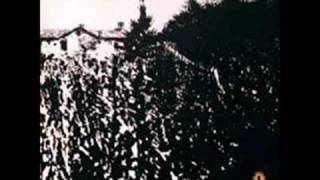 Se non è Amore cos'è (Formula 3)