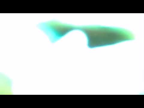 Egidio De Bonis-8