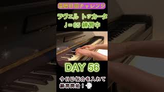 Download lagu DAY56|ラヴェル《トッカータ》クープランの墓|還暦目前チャレンジ mp3 Download lagu DAY56|ラヴェル《トッカータ》クープランの墓|還暦目前チャレンジ mp3