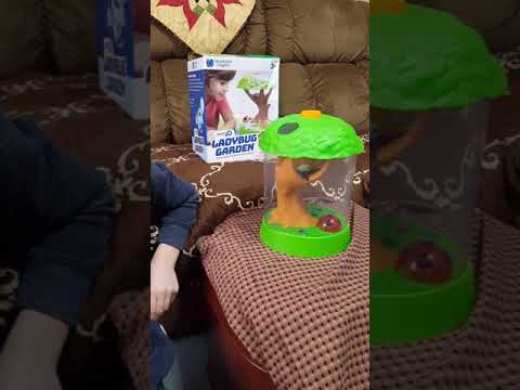 Review video 1 Review video 1