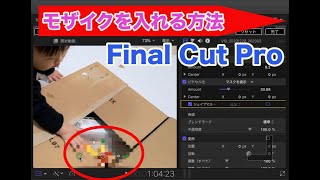 【モザイク処理】作業画面拡大で見やすい（120秒）