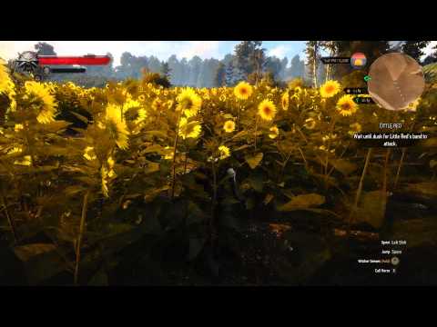 The Witcher 3 - HD @ 60fps upscaled to 4K. YT has reduce it to 30fps it seems