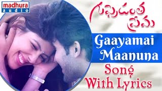 Gaayamai Maanuna Song Lyrics From Guppedantha Prema Sai