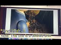 Every Single Piece Of Stock Footage From The New Series Season 10