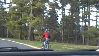 So much beauty in dirt, by Modest Mouse (Fan video)