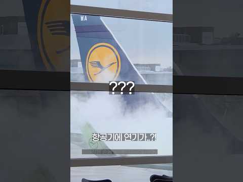 프랑크푸르트 공항에서의 색다른 항공기 제빙 경험