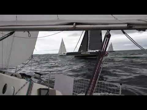 Trimaran Black Marlin @ Silverrudder 2019