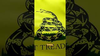 Download lagu Don’t tread on me! the meaning and history behind the expression and the symbolic flag! mp3