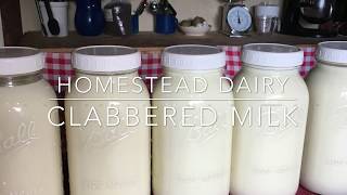 Homestead Dairy - Clabbered Milk