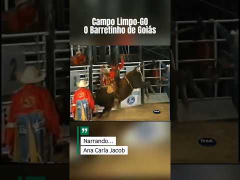 Competidor de Iaciara-GO no Campo Limpo 2008 - Rodeio em Touros