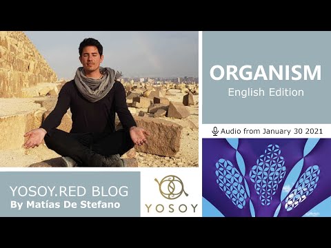 Day 180 - ORGANISM, Matías De Stefano, YOSOY.RED BLOG: Toroid-Physical-Capricorn, Read by Carey 1/30